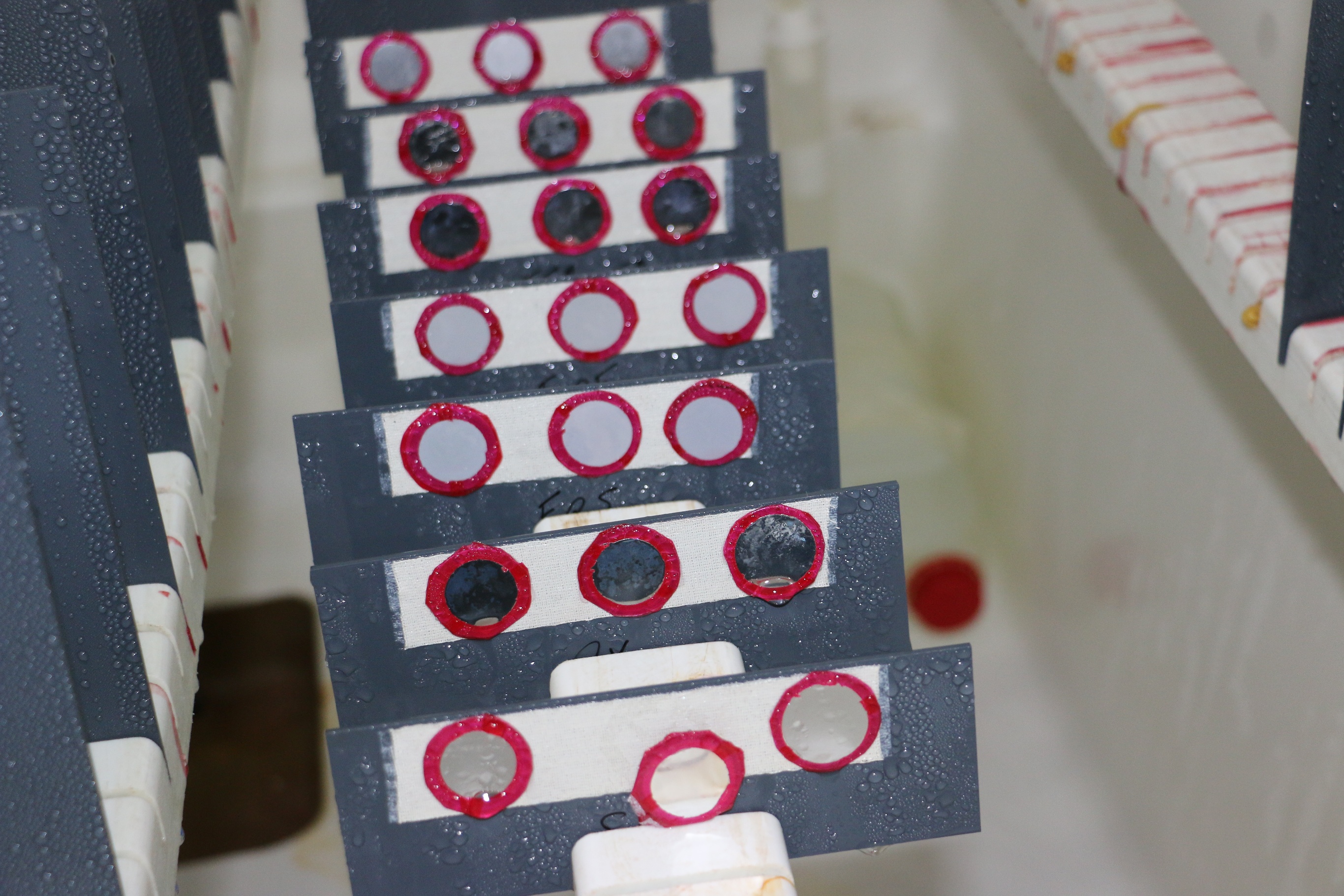 Nanodizing, un proyecto de I+D 100% Titania Nanodizing, un proyecto de I+D 100% Titania